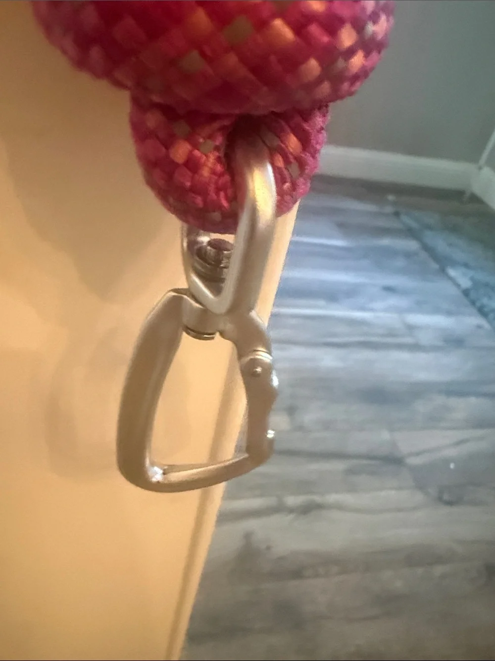 Hot Pink Arcadia Trail Dog Leash 4ft